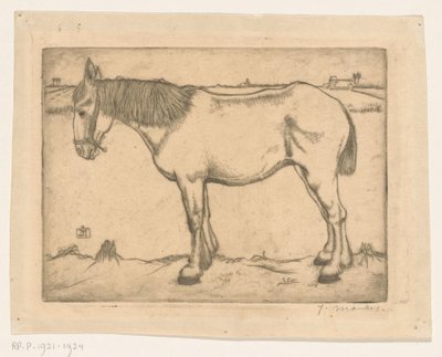 Paard door Jan Mankes (signed by artist)