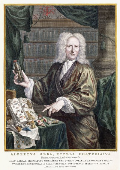 Portret van Albertus Seba, uit 