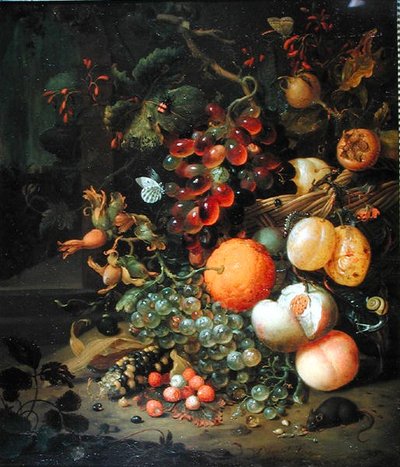 Stilleven met fruit door Jan Mortel