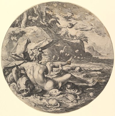 De Vijfde Dag Dies V, uit de serie De Schepping van de Wereld door Jan Muller
