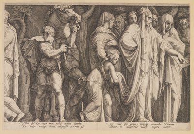 De straf van Niobe (Plaat 6) door Jan Saenredam