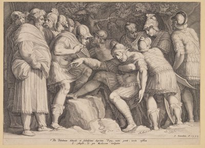 De gewonde Scipio uit de strijd gedragen door zijn zonen door Jan Saenredam