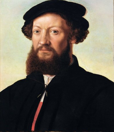 Portret van een man door Jan Sanders van Hemessen