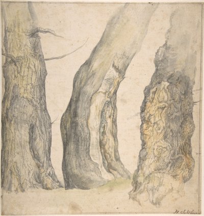 Studie van Drie Oude Kromme Bomen, 1660 door Jan Siberechts