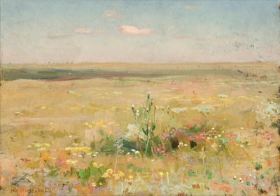 Steppe door Jan Stanislawski