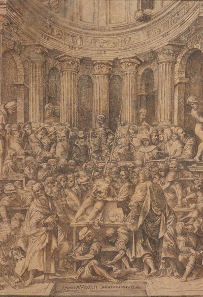  door Jan Stephen Calcar