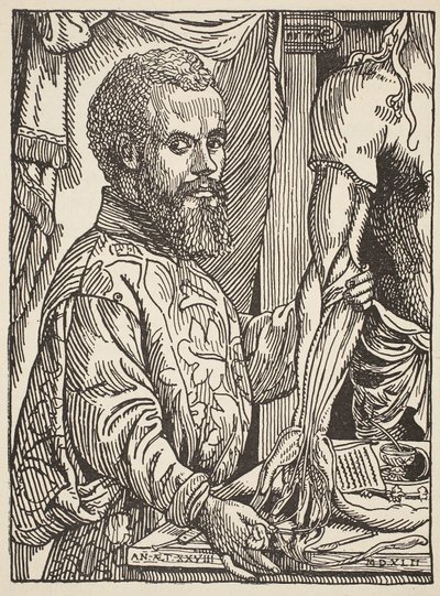 Andre Vesale, kopie door Boris Mestchersky (overleden 1957), illustratie uit Histoire de la Nation Francaise, Sciences, Volumes I en II, door Gabriel Hanotaux (1853-1944), 1924 door Jan Stephen van Calcar