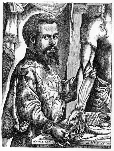 Portret van Andreas Vesalius (1514-64) uit zijn boek 