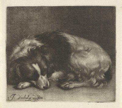 Slapende hond, mogelijk een spaniël door Jan Verkolje (I)