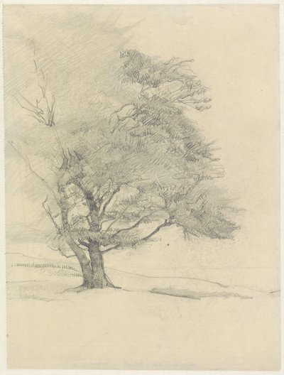  door Jan Veth