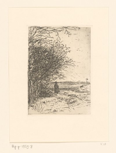 Vrouw in een landschap door Jan Veth