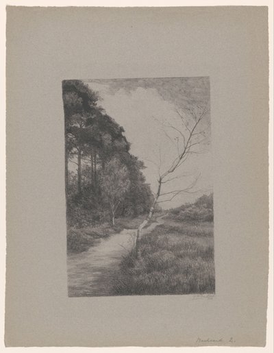  door Jan Veth