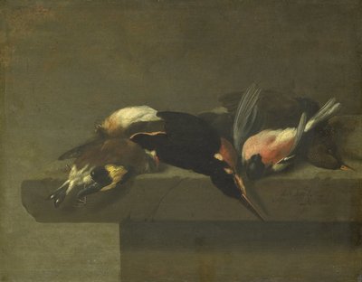 Dode vogels door Jan Vonck