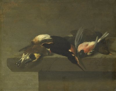 Dode vogels door Jan Vonck