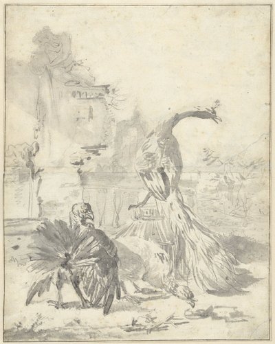 Hoenderhof met een pauw en twee kalkoenen door Jan Baptist Weenix