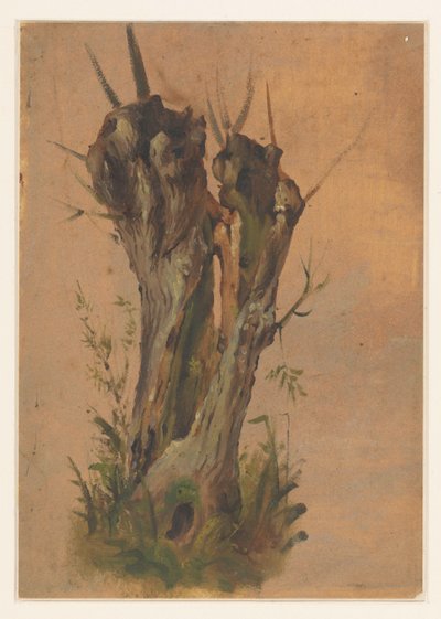 Knotwilg door Jan Weissenbruch