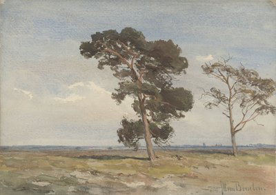 Gezicht op de heide met twee bomen door Jan Willem van Borselen