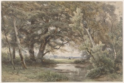 Watertje onder bomen aan het einde van een bos door Jan Willem van Borselen