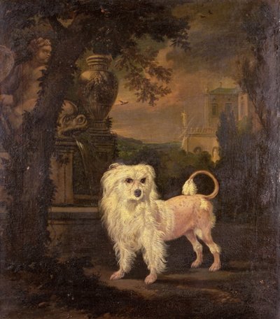 Een Lowchen bij een fontein door Jan Wyck