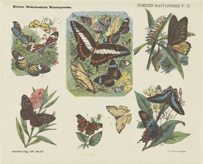 Insekten (dagvlinders) door Jan de Haan