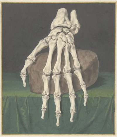 Skelet van een hand door Jan l