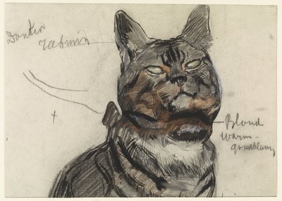 Kat, met kleurnotities door Jan van Essen