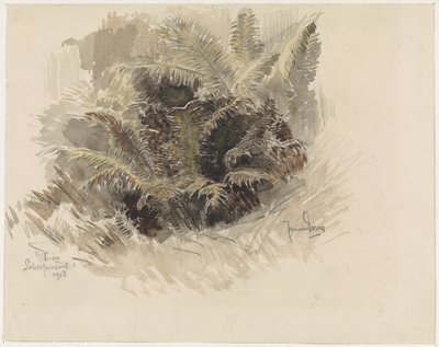 Koningsvaren in een tuin te Scherpenzeel door Jan van Essen