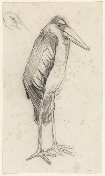 Maraboe door Jan van Essen