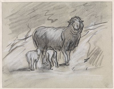 Schaap met twee lammetjes door Jan van Essen