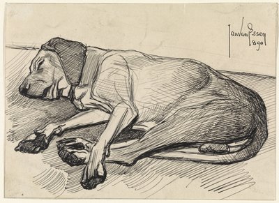 Slapende hond, naar links door Jan van Essen