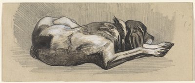 Slapende hond, naar rechts door Jan van Essen