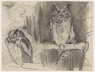 Twee studies van een uil door Jan van Essen