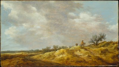 Pad door de duinen door Jan van Goyen