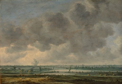 Uitzicht op Haarlem en de Haarlemmermeer, 1646 door Jan van Goyen