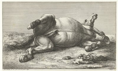 Gesneuveld paard liggend op de linkerzij door Jan van Huchtenburg