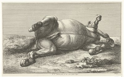 Gesneuveld paard liggend op de linkerzij door Jan van Huchtenburg