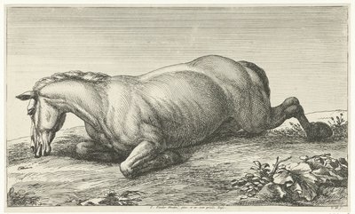 Gesneuveld paard op de buik liggend door Jan van Huchtenburg