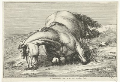 Gesneuveld paard op de rechterzij liggend door Jan van Huchtenburg