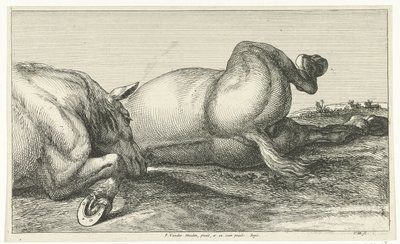 Twee achter elkaar liggende gesneuvelde paarden Gesneuvelde paarden (series title) door Jan van Huchtenburg