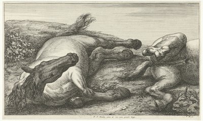 Twee gesneuvelde paarden waarvan de linker van voren gezien door Jan van Huchtenburg