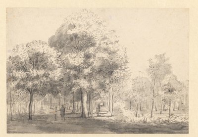 Gezicht op de Haarlemmerhout, Haarlem door Jan van Kessel (attributed to)