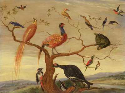 Een concert van vogels door Jan van Kessel the Elder