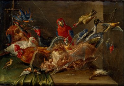 Decoratieve Stillevencompositie met Vogels en Twee Vleermuizen, midden 17e eeuw door Jan van Kessel