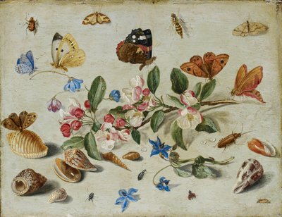 Bloemen en insecten door Jan van Kessel