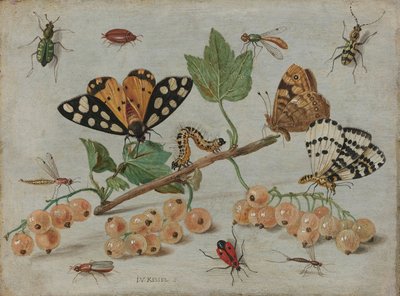 Insecten en fruit, ca. 1660-5 door Jan van Kessel the Elder