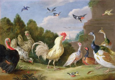 Boslandschap met een Haan, Kalkoen, Hennen en andere Vogels, 17e eeuw door Jan van Kessel the Elder
