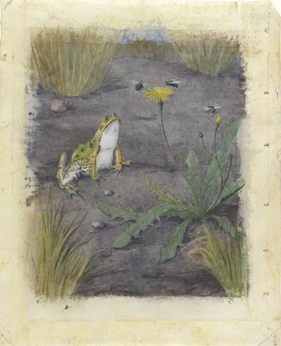 Kikker bij een paardenbloem met vliegen door Jan van Oort