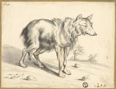Wolf door Jan van Os