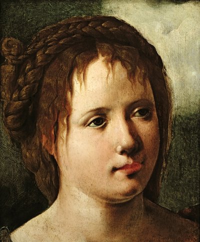 Hoofd van een Meisje, 1530-35 door Jan van Scorel