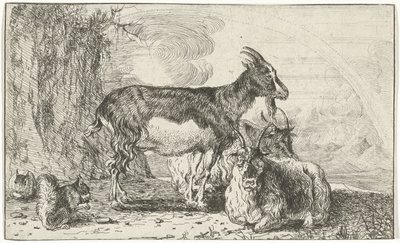 Geiten door Jan van den Hecke